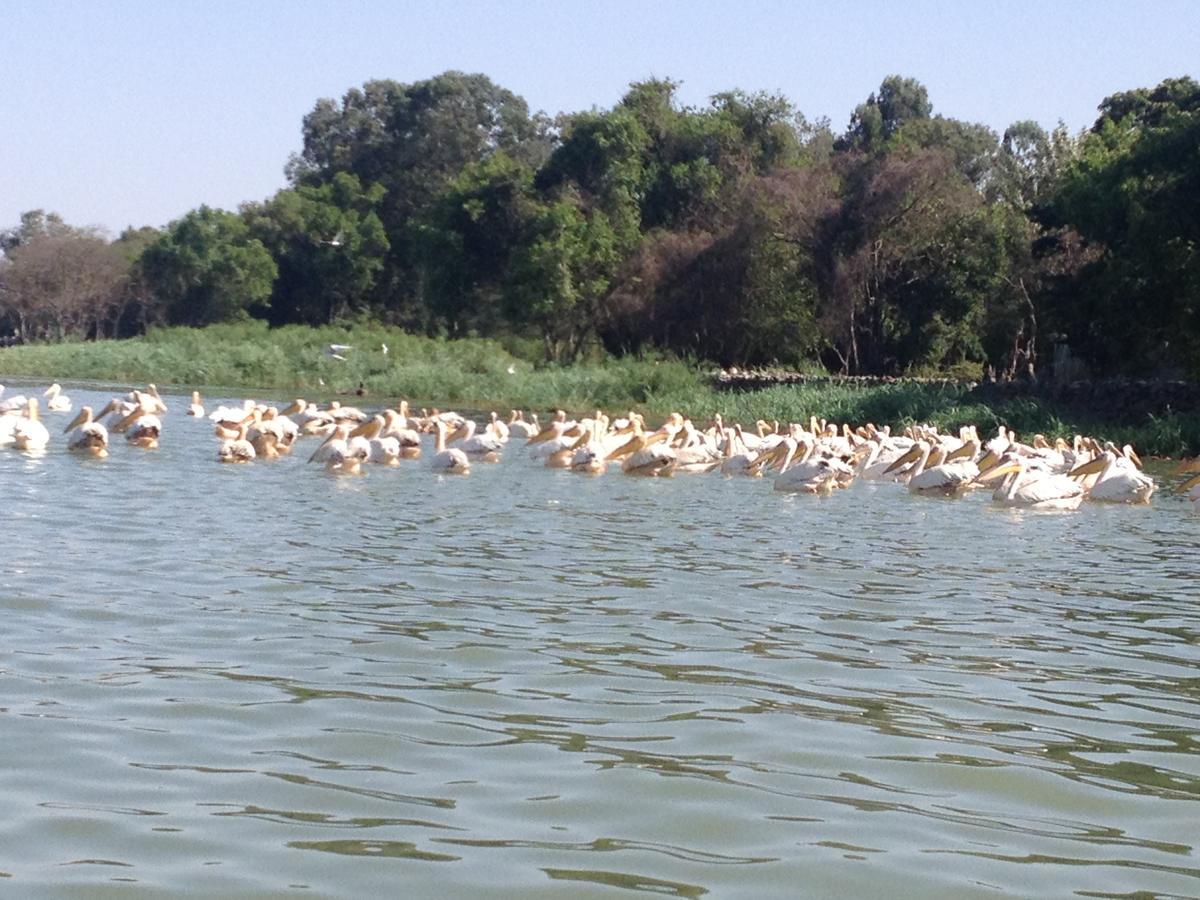 Lakemark Hotel And Tour Service Bahir Dar Exterior photo